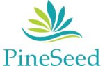 PineSeed IT Solutions